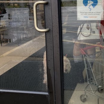 Puzzle Warehouse - Dogs welcome! - Hobby Shops Near Me - St. Louis, Missouri