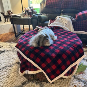 Paws and Sniffs Mobile Pet Spa - All clean and pretty - Pet Groomers Near Me
