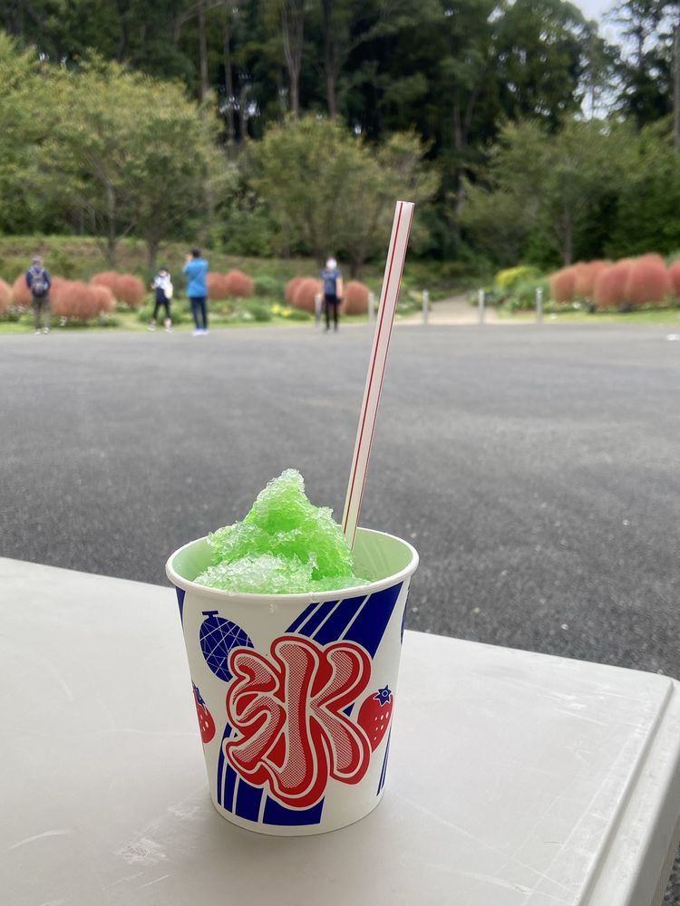 Satoyama Garden Festa