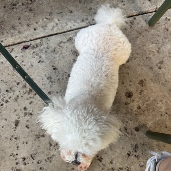 Honolulu Coffee - Bakeries Near Me - Honolulu, Hawaii