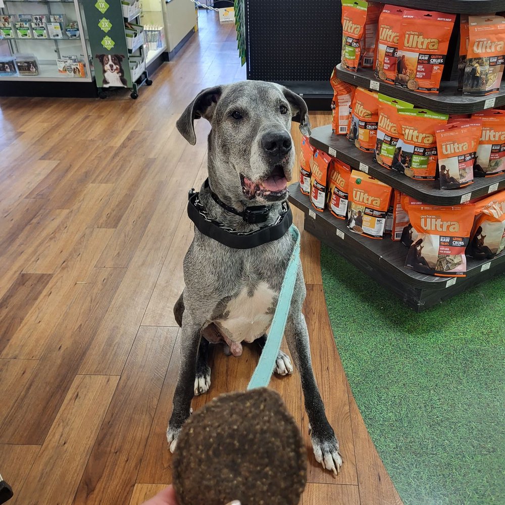 Pet Supermarket - Pet Stores Near Me - Cary, North Carolina Pet Supermarket - Pet Stores Near Me - Cary, North Carolina