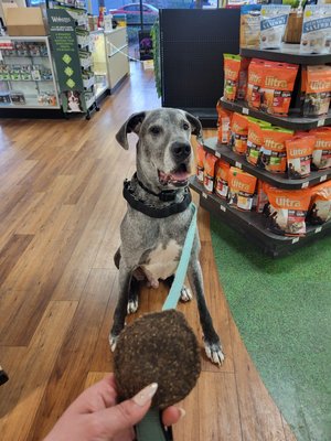Pet Supermarket