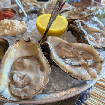 Zest - Raw Gulf Oysters. 6 for $11. Cocktail sauce, fresh horseradish, mignonette sauce. - Sushi Bars Near Me - Roswell, Georgia