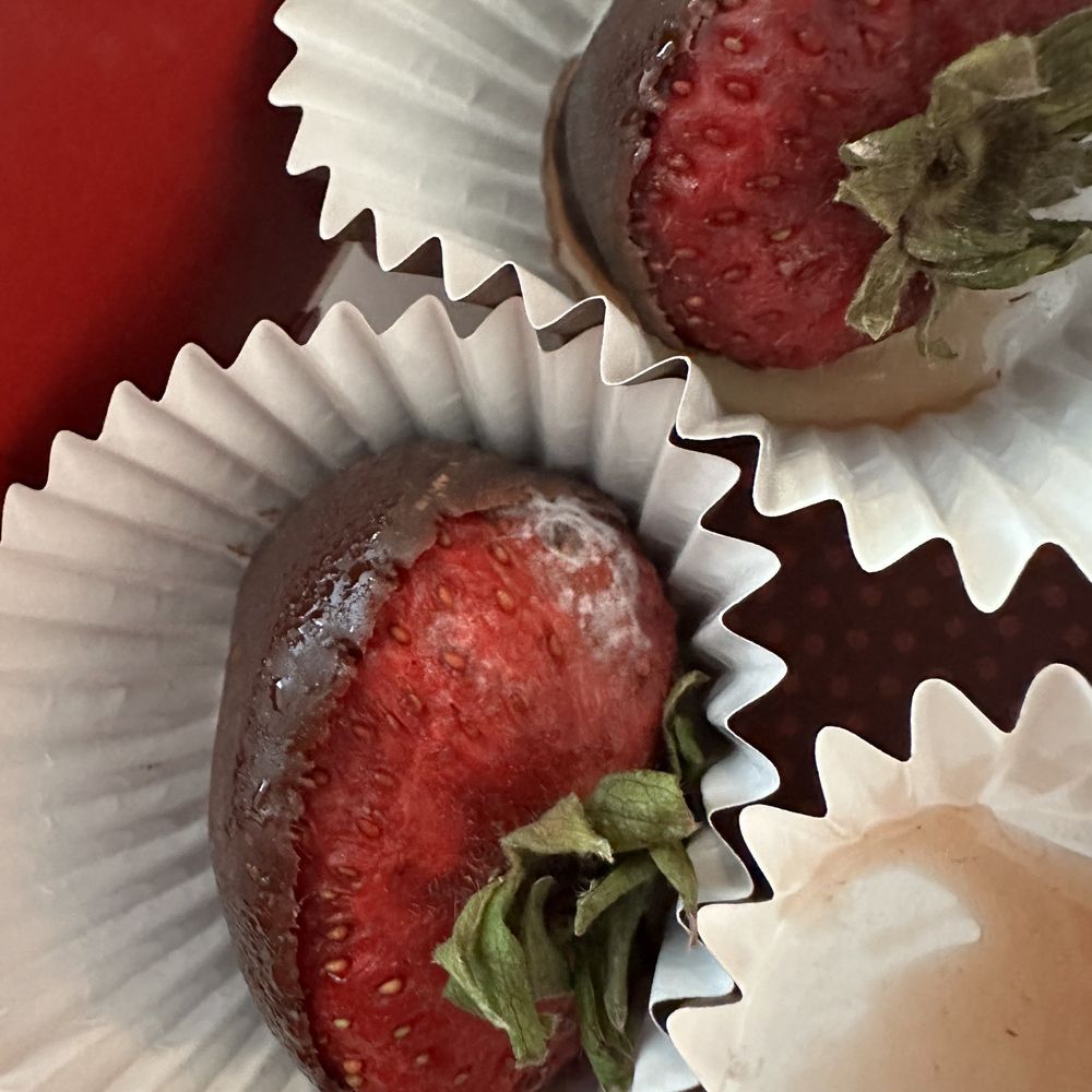 Show Posts - JusDBerube, image size:1000x1000