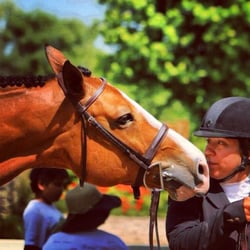 Canterbury Farm Chicago