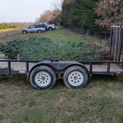 Country Loving Christmas Tree Farm - Delivery & set up service available.