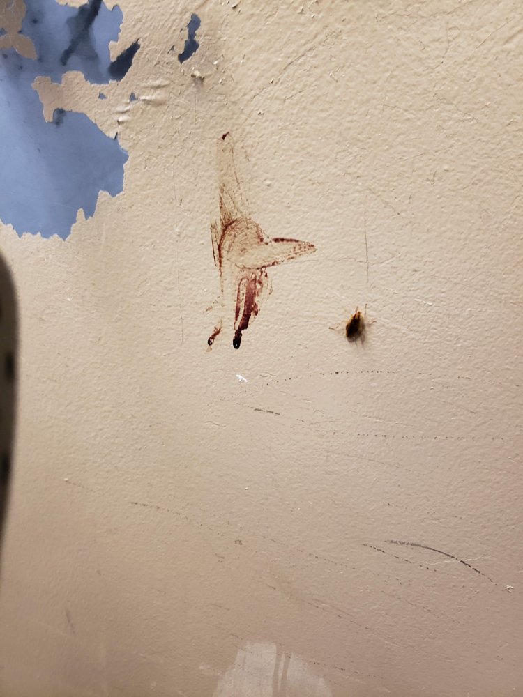 APPLEWOOD TOWERS APARTMENTS Updated September 2024 27 Photos 1055