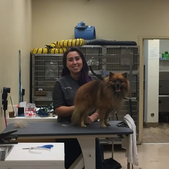 Petco - Grace working on Bacio 3 - Pet Stores Near Me - West Covina, California Petco - Grace working on Bacio 3 - Pet Stores Near Me - West Covina, California