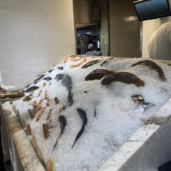 Sails Restaurant - Fish on display - Seafood Near Me - Naples, Florida