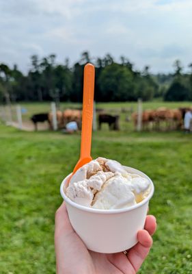 High Lawn Farm by null