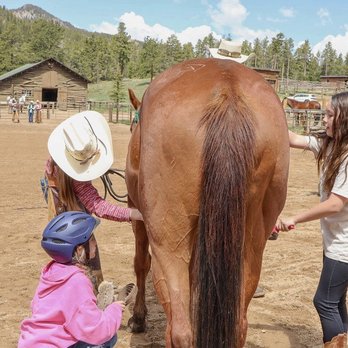 Wind River Ranch - Horses - Estes Park, Colorado