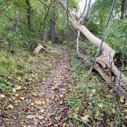 Pleasant Valley Park