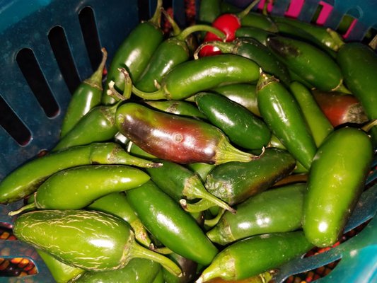 La Familia Growers Market by null