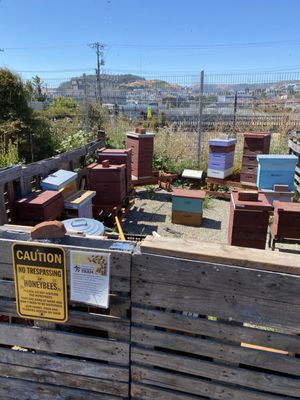 Florence Fang Community Farm by null