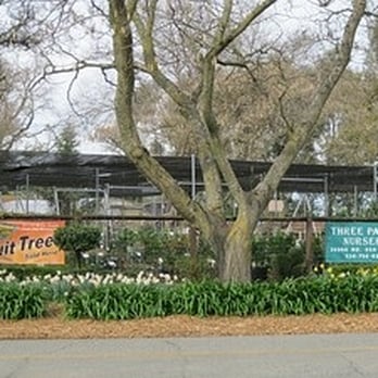 THREE PALMS - CLOSED - Updated June 2026 - 14 Photos & 16 Reviews