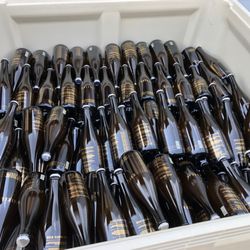 Bear Barton Vineyard - Our 2024 Sparkling Rose'
