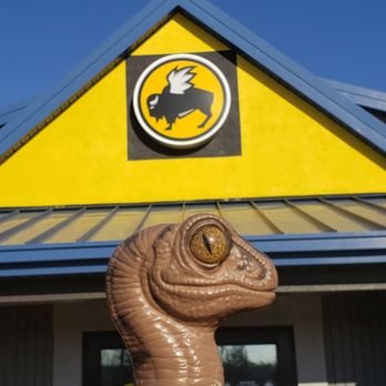 Buffalo Wild Wings - Bob the Raptor says "Winged Buffalo Mammals!" - American Near Me - Elyria, Ohio