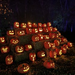 Jack O'Lantern World - Pumpkins
