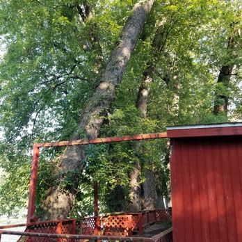 Swan's Landscaping - a large tree in the middle of a deck - Lawn Services Near Me - Martinsburg, West Virginia Swan's Landscaping - a large tree in the middle of a deck - Lawn Services Near Me - Martinsburg, West Virginia