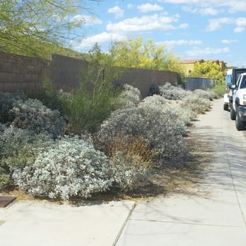 Responsible Landscaping - a truck parked in front of a wall - Tree Services Near Me - Phoenix, Arizona Responsible Landscaping - a truck parked in front of a wall - Tree Services Near Me - Phoenix, Arizona