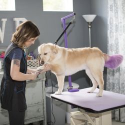 Happee Groomers Gift Greeting Cards Email, Text or Print