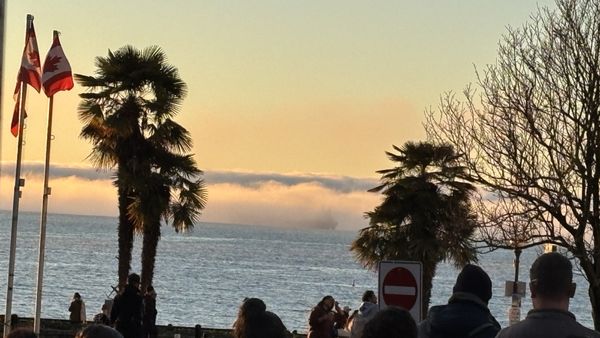 The Three Brits Public House by null