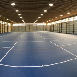 Camp Curiosity - Indoor Basketball & Pickleball