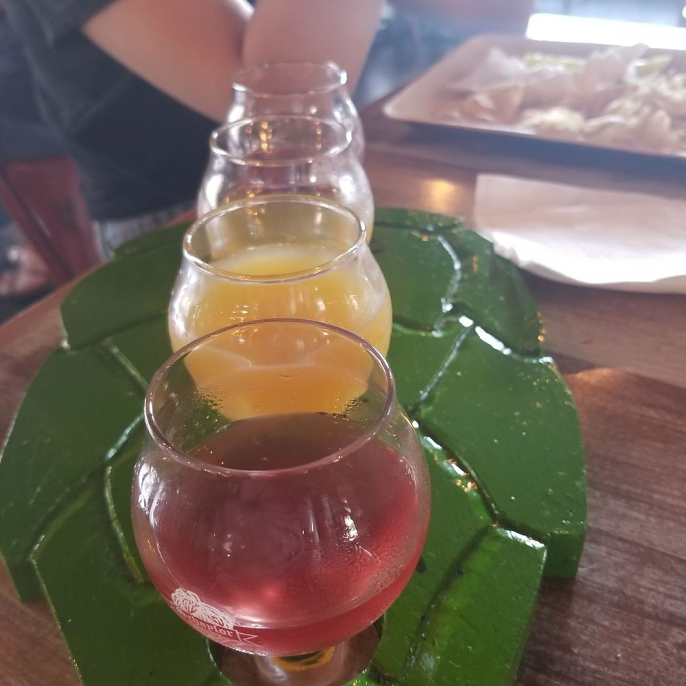 Schaylor Brewing - Beer flight - Breweries Near Me - Reading, Pennsylvania