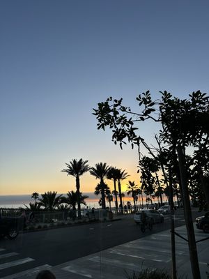 The Shore Room by null