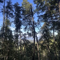 Skyline Trail
