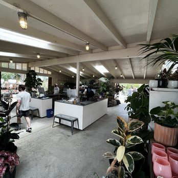 Flora Grubb Gardens - Inside - Nurseries & Gardening Near Me - Marina del Rey, California
