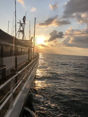 DOLPHIN DOCK - Updated August 2024 - 153 Photos & 137 Reviews - 300 W