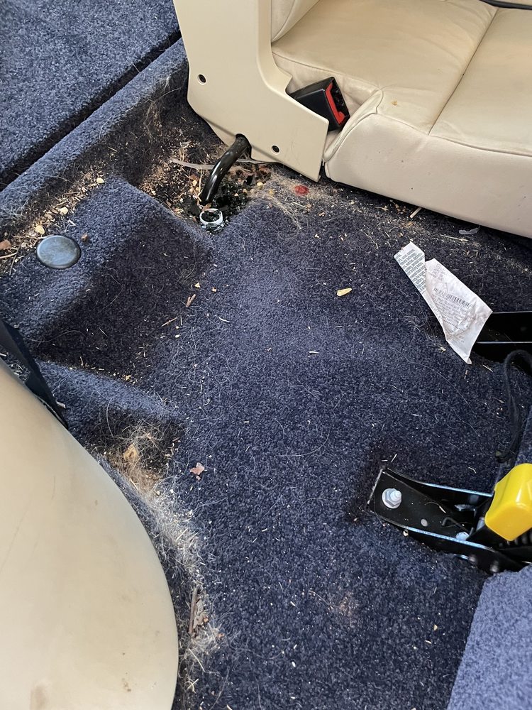 KOSHER MOTORS Updated September 2024 85 Photos & 56 Reviews 2829