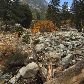 Cucamonga Peak - Cucamonga Peak, about 2 miles into the hike. - Hiking Near Me - Mount Baldy, California Cucamonga Peak - Cucamonga Peak, about 2 miles into the hike. - Hiking Near Me - Mount Baldy, California