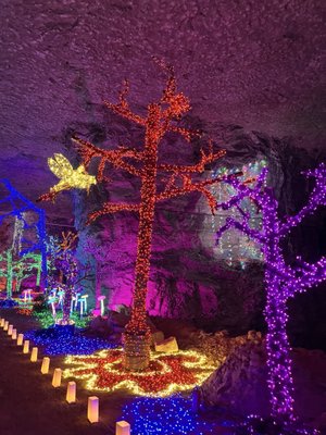 Lights Under Louisville by null