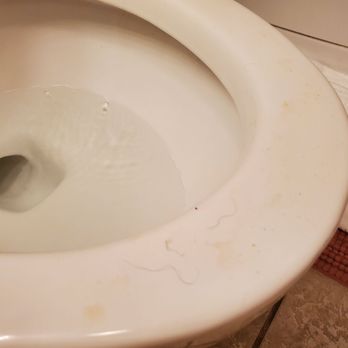 Elliott Realty - Pee and hair on the toilet - Vacation Rental Agents Near Me - North Myrtle Beach, South Carolina Elliott Realty - Pee and hair on the toilet - Vacation Rental Agents Near Me - North Myrtle Beach, South Carolina
