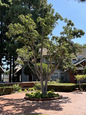 Heritage Square by null