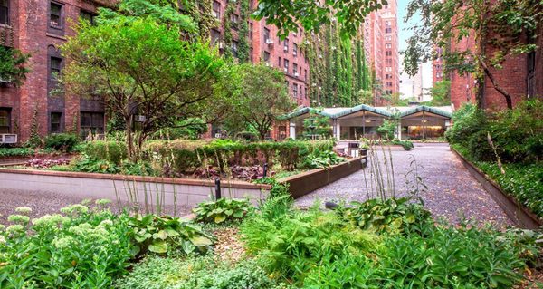 London Terrace by null