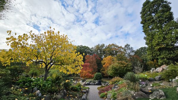 Botanical Garden by null Botanical Garden by null