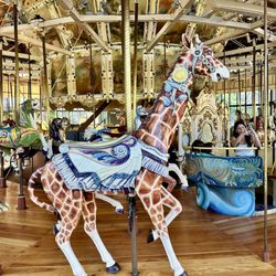 Golden Gate Park Carousel