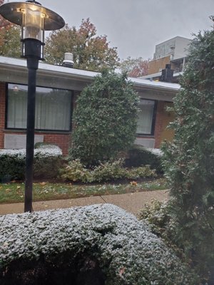 The Carleton of Oak Park Hotel by null