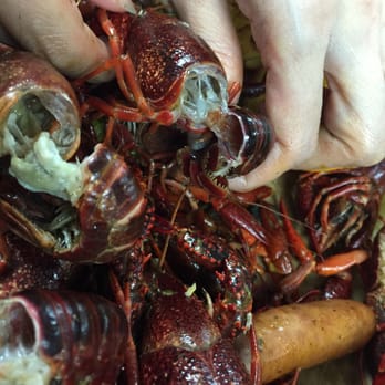 Lapalco Seafood No 2 - Rotten crawfish. Not even offered a refund. - Seafood Markets Near Me - Gretna, Louisiana Lapalco Seafood No 2 - Rotten crawfish. Not even offered a refund. - Seafood Markets Near Me - Gretna, Louisiana