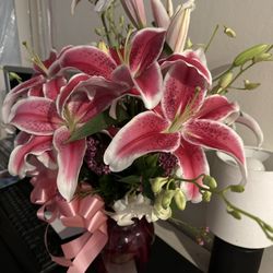 My Flowerspace.com - Stargazer Lily Flower Arrangement