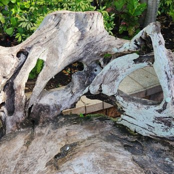 Sun Garden Cafe - Seahorse driftwood bench in the waiting area. - Breakfast & Brunch Near Me - Sarasota, Florida