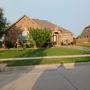 Photo of Leo's Tree Service