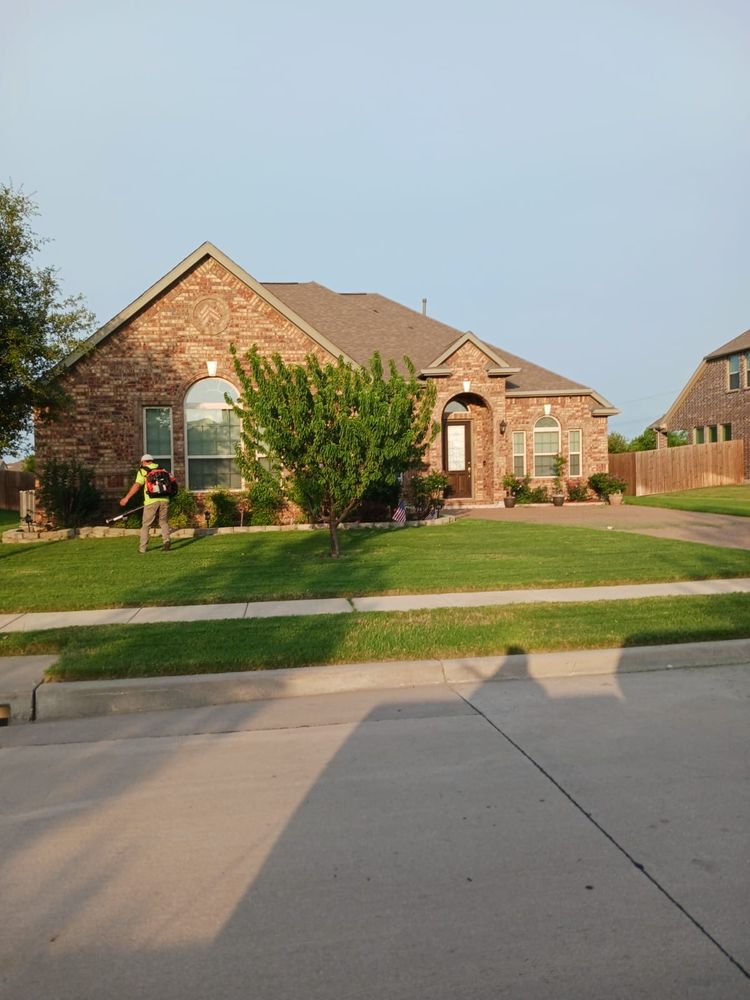 Leo's Tree Service - tree service in Albuquerque, NM