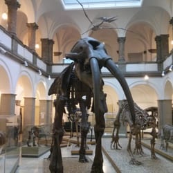 Paläontologisches Museum