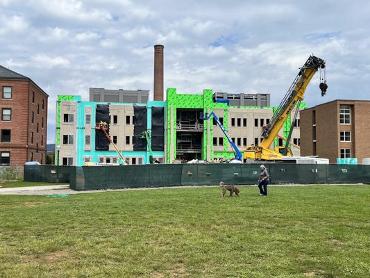 Virginia Tech by null