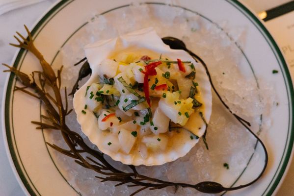 Bill's Oyster by null