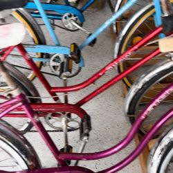 Walters Bicycles - Violet Classic Schwinn restored by Walters